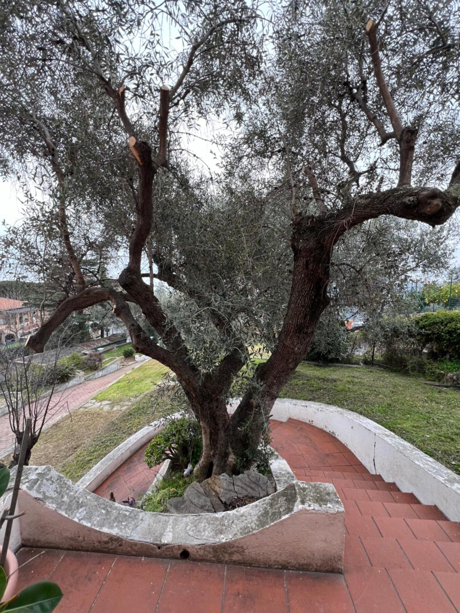 Villa In Collina Vista Mare Sanremo Esterno foto