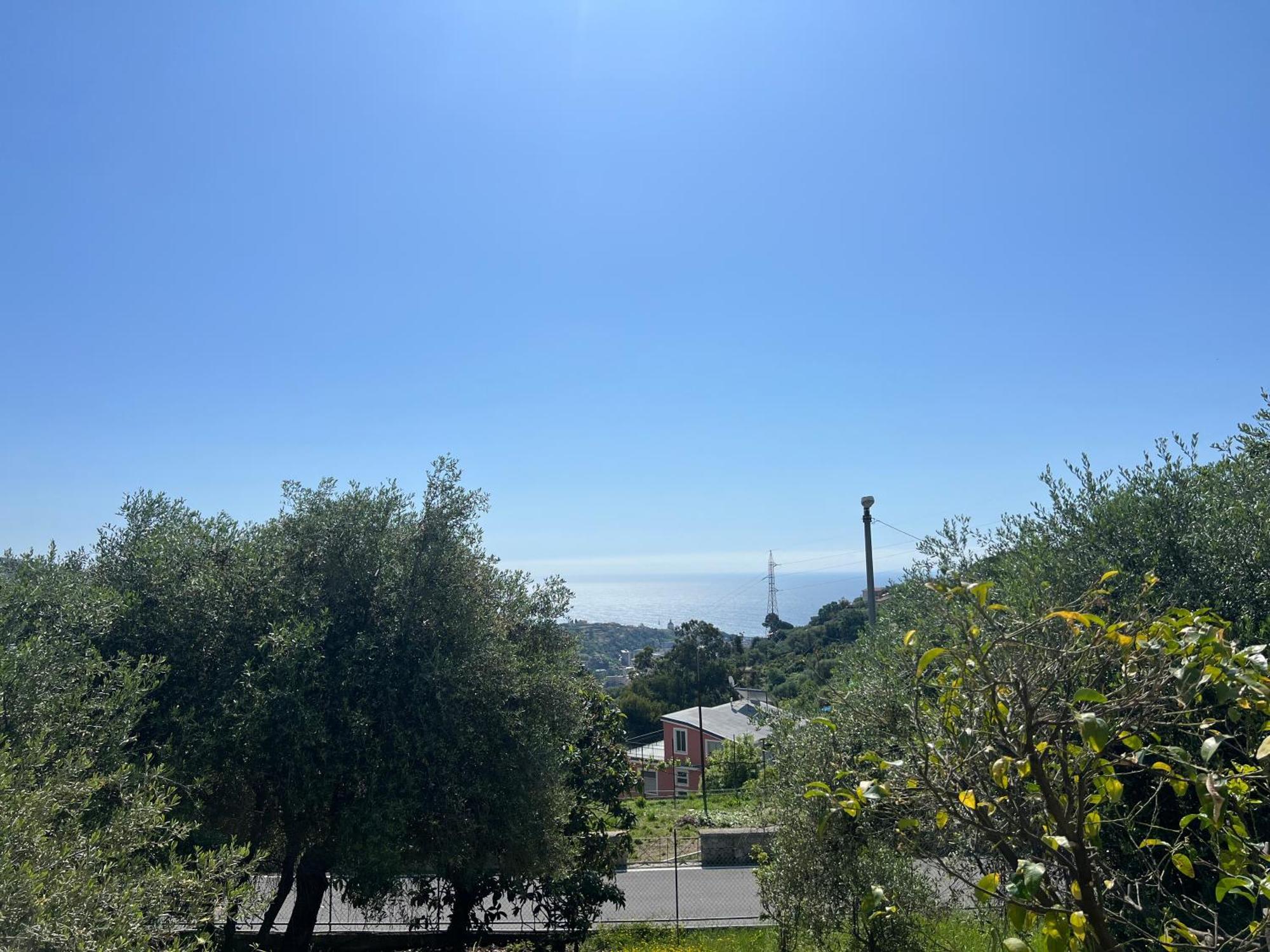 Villa In Collina Vista Mare Sanremo Esterno foto